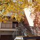 Illustration for article titled Pics from the Curbside: 2018-10-14 to Kitsilano Secondary School
